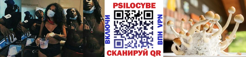 Галлюциногенные грибы мухоморы  Чернушка 