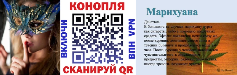 Марихуана гибрид  Чернушка 